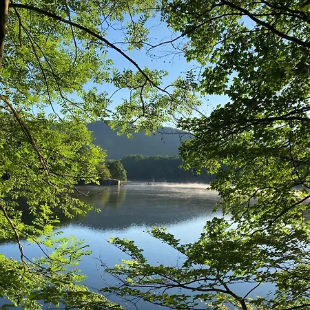 Апартаменты Urlaub In Der Eifel Am Rursee - Wita31 Айнрур