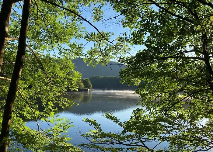 Apartamento Urlaub In Der Eifel Am Rursee - Wita31 Einruhr
